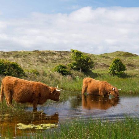 デ・コーフ Bnb Westerduinen, De Bollekamer Bed & Breakfast エクステリア 写真